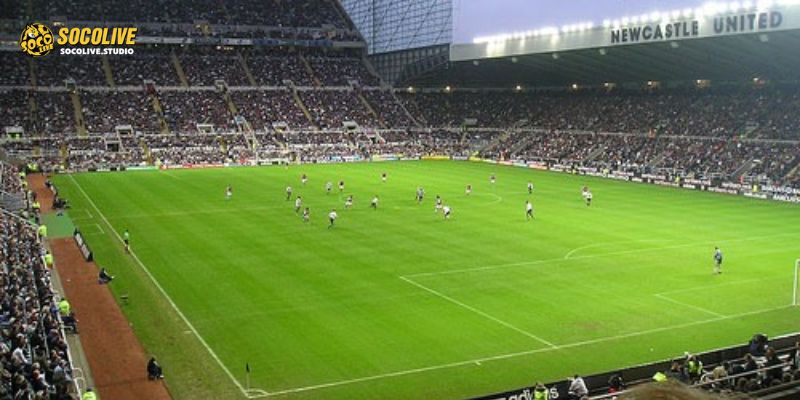 Nhận định Newcastle United vs Barcelona 03h00 11/03: Chảo lửa St James' Park sẵn sàng thiêu đốt Gã khổng lồ